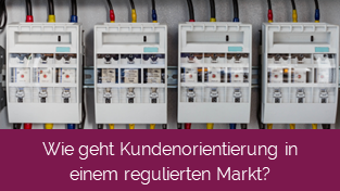 Strommarkt: ein regulierter Markt ohne Kunden?