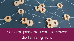 Ist Selbstorganisation in, weil niemand mehr führen will?